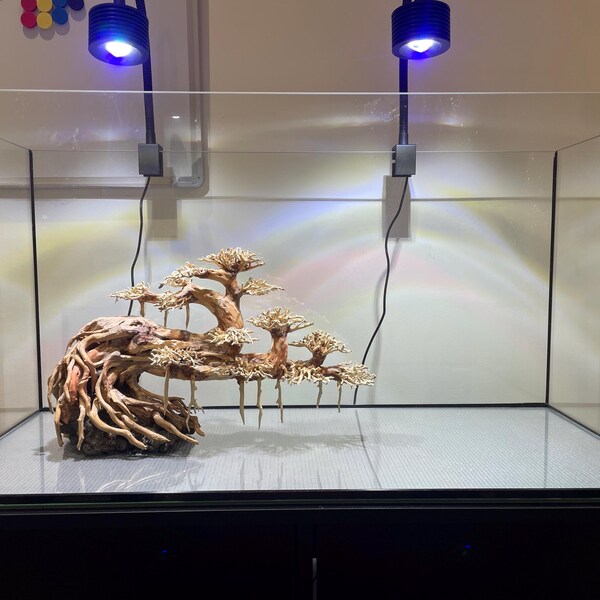 Bonsai Aquarium Aquascape Driftwood Bonzai Tree Decor Fish Tank ...