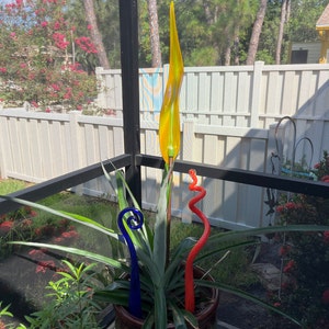Colleen added a photo of their purchase