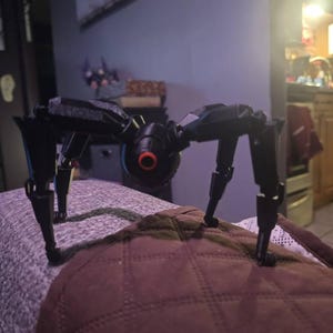 Shannon adicionaram uma foto da sua compra