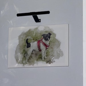 Paul ha añadido una foto de su compra