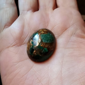 Shannon added a photo of their purchase