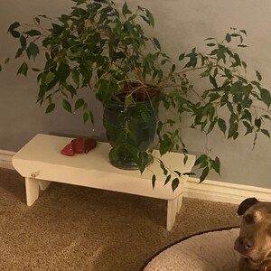Karen ha añadido una foto de su compra