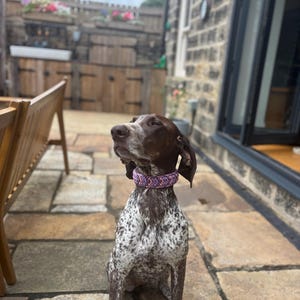 Jessica adicionaram uma foto da sua compra