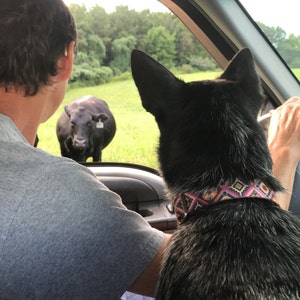 Melissa added a photo of their purchase
