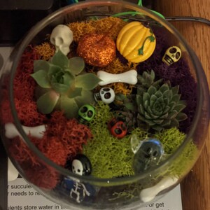 Emily added a photo of their purchase