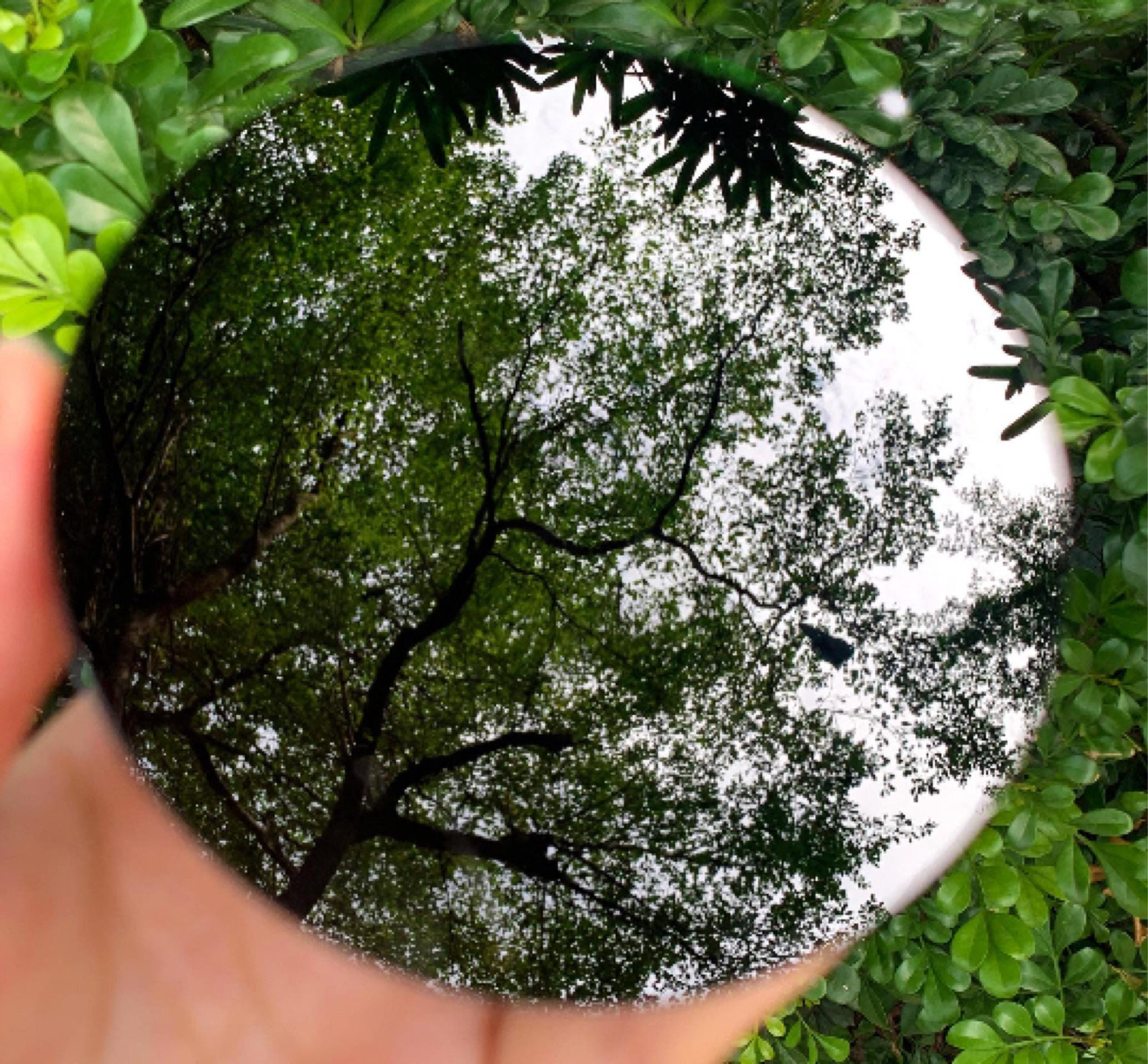Black Obsidian Mirror, Natural Obsidian Stone Scrying Mirror, Mineral Specimen, Crystal Gifts, Home Decor