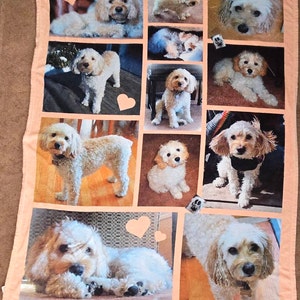Denise added a photo of their purchase