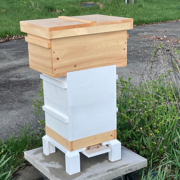 Hive Rack Beehive Slatted Rack: Swarm Control, Bottom Box - Etsy