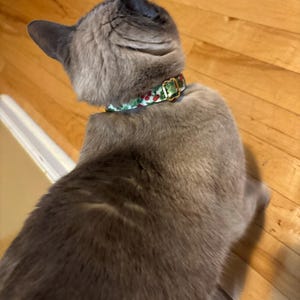 Susan added a photo of their purchase
