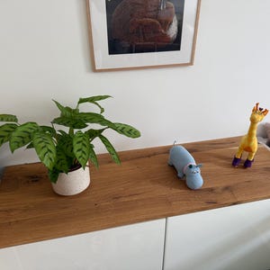 Ulrich added a photo of their purchase