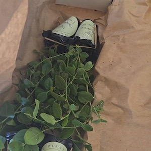 dan added a photo of their purchase