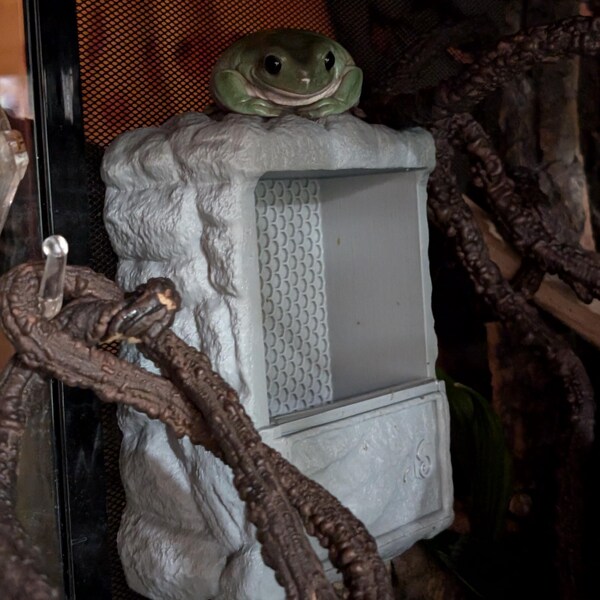 MAGNETIC Personalized Rock Texture Feeder for Gecko, Frogs, and Small ... - Frogs As Feeders For Snakes