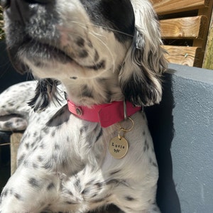 Poppy added a photo of their purchase