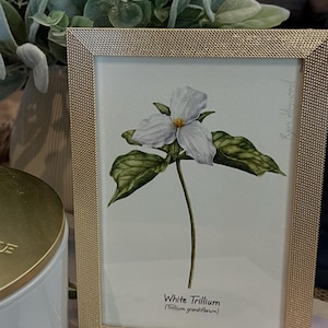 Misty added a photo of their purchase