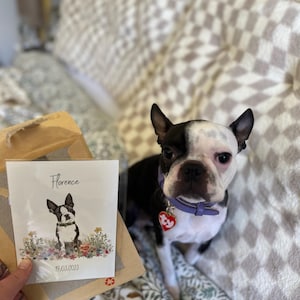 Kimmy a ajouté une photo de son achat