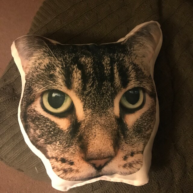 Custom Cat Face Pillow Life Like Cat Pillow Cat Lover -  Ireland