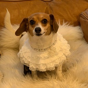 Aubryanna added a photo of their purchase