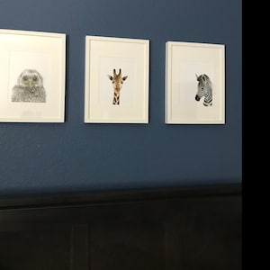 Jenny added a photo of their purchase