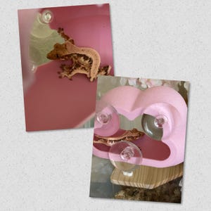 naka.m.jp. さんが購入した商品の写真を追加しました