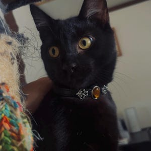 Janessa さんが購入した商品の写真を追加しました