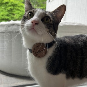 Dominique hat ein Foto des gekauften Artikels hinzugefügt