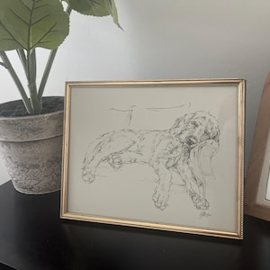 Lisa added a photo of their purchase