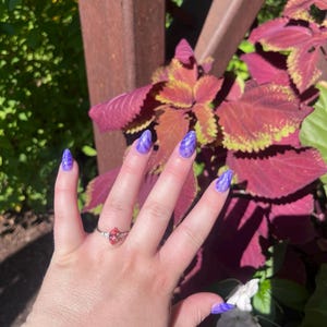 Kennedy added a photo of their purchase