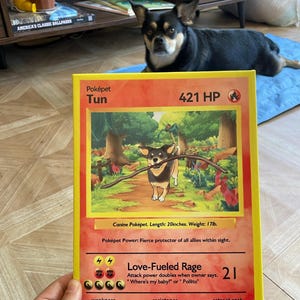 Lesley added a photo of their purchase