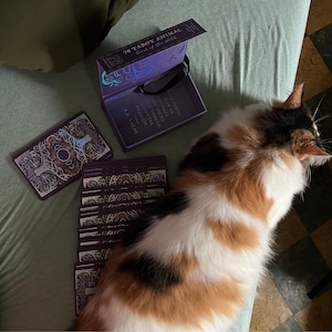 Pamela added a photo of their purchase