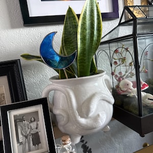 Lydia added a photo of their purchase