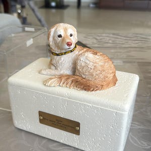 Lulu added a photo of their purchase