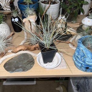 Shawn added a photo of their purchase