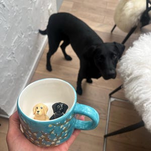 Sophie added a photo of their purchase