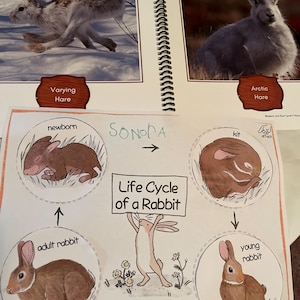 Rhea hat ein Foto des gekauften Artikels hinzugefügt