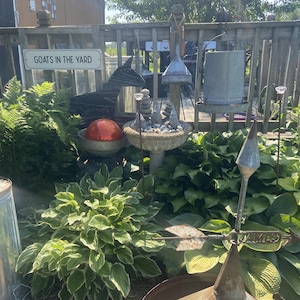 Jody added a photo of their purchase