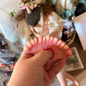 Shaye added a photo of their purchase