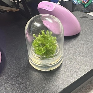 daoustaj added a photo of their purchase