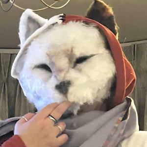 Alfie a ajouté une photo de son achat