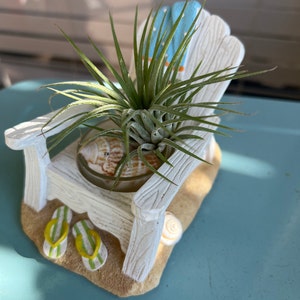 Donna added a photo of their purchase