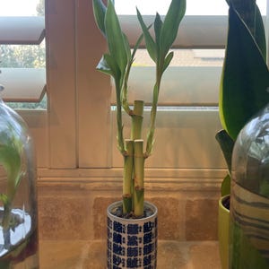 Keith added a photo of their purchase