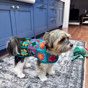 LM ha aggiunto una foto del proprio acquisto