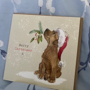 Fern added a photo of their purchase