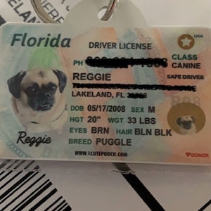 Florida Driver License Custom Pet ID Tags and Wallet Card | Etsy