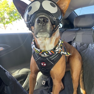 Daizy added a photo of their purchase