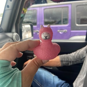 kathrine adicionaram uma foto da sua compra