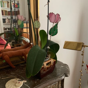 Morsaline added a photo of their purchase