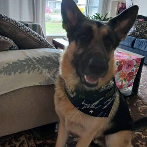 Jenny added a photo of their purchase