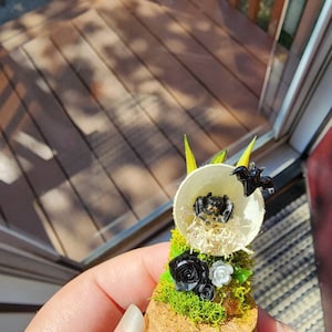 Shelby added a photo of their purchase
