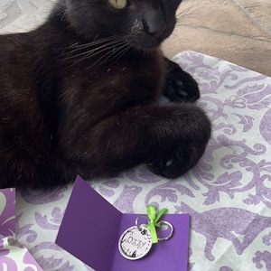 Izzy ha aggiunto una foto del proprio acquisto