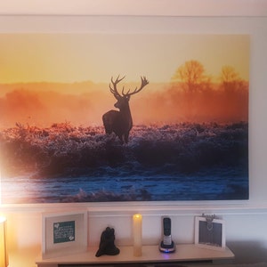 Thomas added a photo of their purchase
